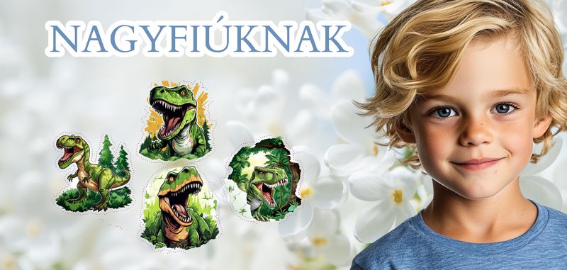 kisfiú bicikli matricák fiús kerékpár matrica